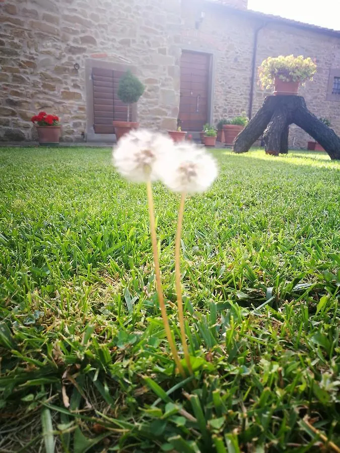 Borgo Dei Cavalieri Villa Cortona Farm stay